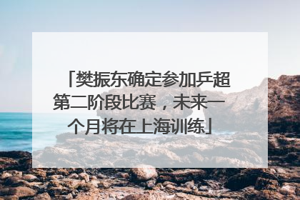 樊振东确定参加乒超第二阶段比赛，未来一个月将在上海训练